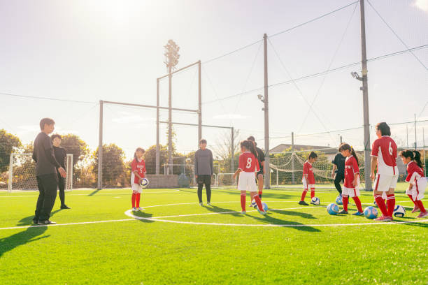 年轻与经验 年轻与经验