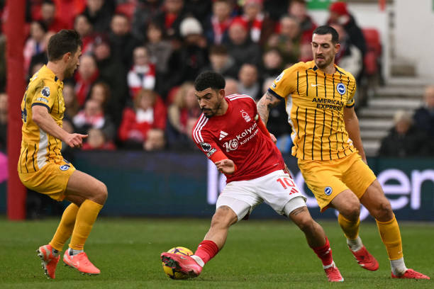 张本美和正 张本美和正