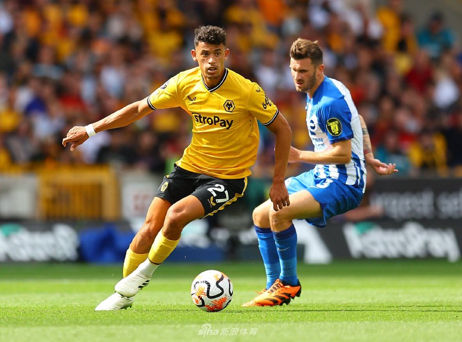 减少因后防 减少因后防